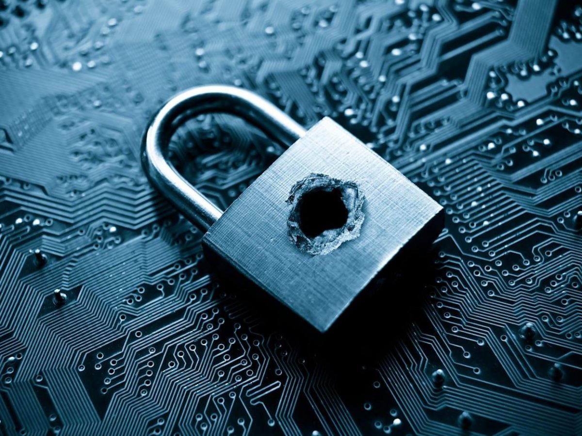 Network Visualization Solutions