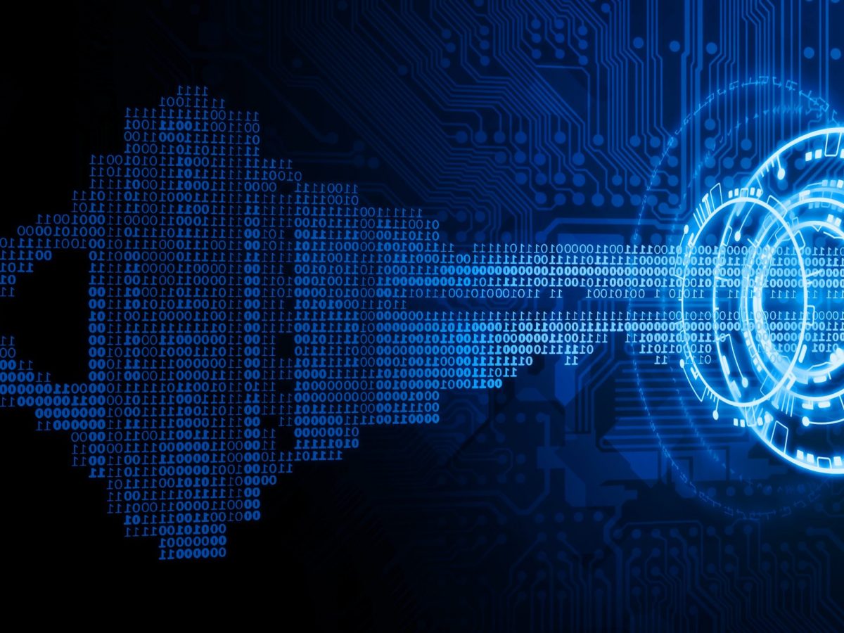 Vulnerability Assessment